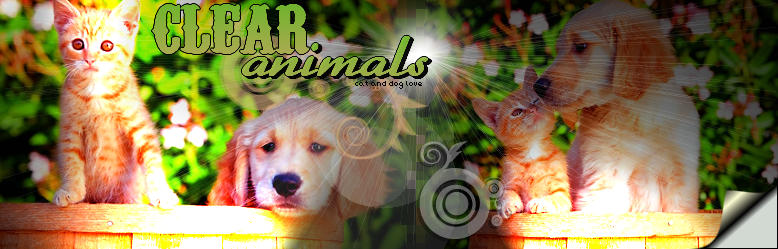clear-animals